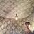 Empty Thoughts over a Shallow Ocean - Ryan Hemsworth