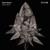 Stone Flower - Adam Beyer