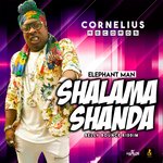 Обложка трека Shalama Shanda