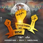 Обложка трека Together We Rise