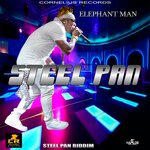 Обложка трека Steel Pan