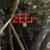 Acaba - zEEr