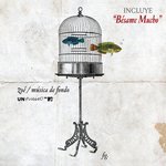 Обложка трека Poli Love