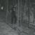 AskeThe Depressive Vision of the Cursed Warriors (Burzum cover) - Bilskirnir