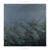 Wanderer - Ilya Beshevli & The Imperalis Orchestra