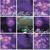 Fib01a - Keith Fullerton Whitman