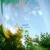superlit - Gnash