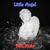 Hello, Young Lovers - Paul Anka