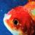 Rain Come Down - Vince Staples