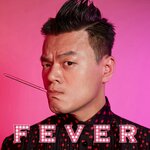 Обложка трека FEVER