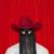 Take You Back (The Iron Hoof Cattle Call) - Orville Peck