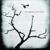 This Is Nowhere - The Airborne Toxic Event