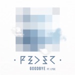 Обложка трека Goodbye (Uravnobeshen Dikiy Remix)