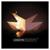 Cut to Black - Lemaitre