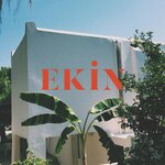 Обложка трека Ekin