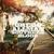 Going Going Gone - Gregg Allman