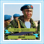 Обложка трека Журавли