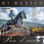 Обложка трека Que Se Acabe El Mundo (Mariachi)