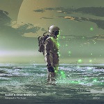 Обложка трека Astronaut in the Ocean