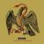 Black Crane - Rome