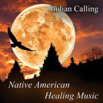 Обложка трека Ancestral Shamanic Journey