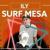 ily (I love you) (Саундтрек из фильма "Это всё он / He's All That") - Surf Mesa and Emilee