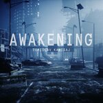 Обложка трека Awakening