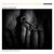 For Alim - Federico Mecozzi