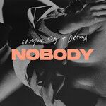 Обложка трека Nobody