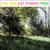 Shaking Paper - Cat Power