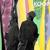 Let's Elope - Koop