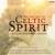 Little Wing - Celtic Spirit