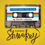 Обложка трека Carlebach Medley