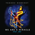 Обложка трека Maran Sheli