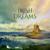 Beyond the Dream - Tarık Ağansoy