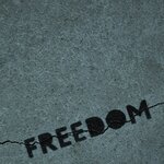 Обложка трека Freedom