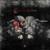 The Pig Who Had Miraculously Been Spared Decomposition - Ayat