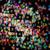 Confidence - Joywave