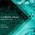 Flight Electro Souls - Faberlique