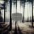 Elevation - Jens Buchert