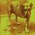 Shame In You - Alice In Chains