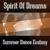 I Can't Believe It - Spirit Of Dreams