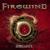 Insanity - Firewind