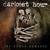 Love As A Weapon - Darkest Hour