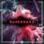 Supernova - From Fall to Spring