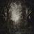 Patterns in the Ivy - Opeth