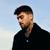 Golden - Zayn