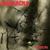 Madness Remains - Massacra