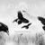 The Winter Way - Atavistia