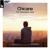 The Sleepless Year - Chicane